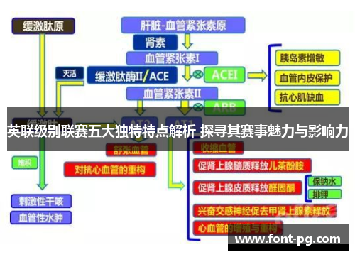 英联级别联赛五大独特特点解析 探寻其赛事魅力与影响力 英联级别联赛五大独特特点解析 探寻其赛事魅力与影响力