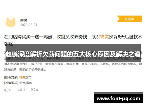 赵鹏深度解析欠薪问题的五大核心原因及解决之道